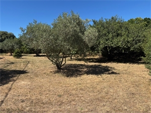 terrain a batir à la vente -   84200  CARPENTRAS, surface 650 m2 vente terrain a batir - UBI483684539